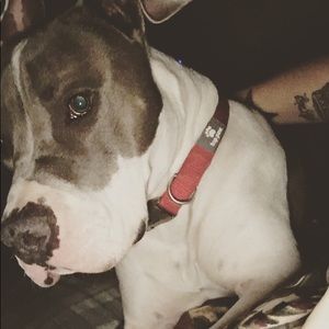 Meet your Posher, Erika